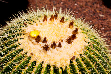 Similar image 10971430