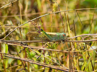 Similar image 10959127