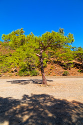 Similar image 10961251