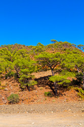 Similar image 10961252