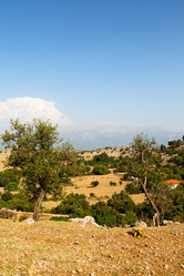 Similar image 10961038