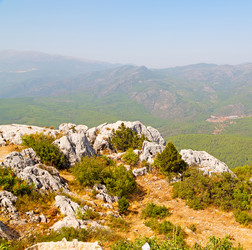 Similar image 10961083