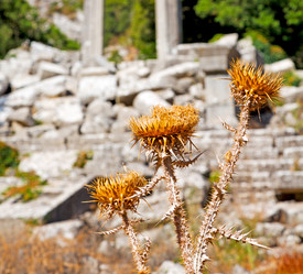 Similar image 10961111