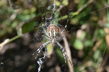 Similar image 10959075