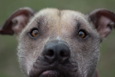 Similar image 10959987