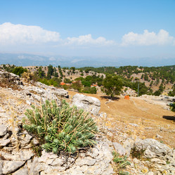 Similar image 10961084