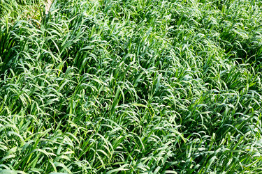 Similar image 10961086