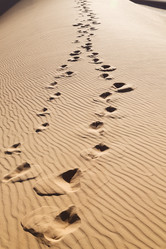 Similar image 10961088