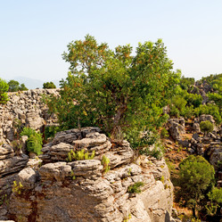 Similar image 10961089