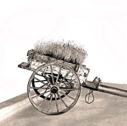 Similar image 10961171