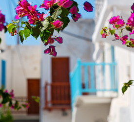 Similar image 10961188