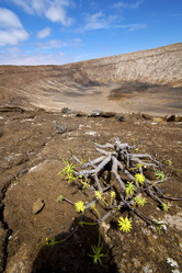 Similar image 10961207