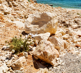 Similar image 10971322