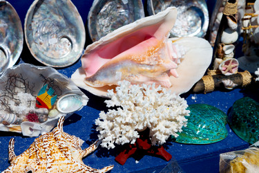 Similar image 10970736