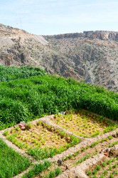 Similar image 10971215