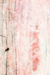 Similar image 10970689