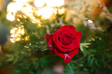 Similar image 10992845