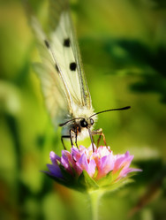 Similar image 11167232