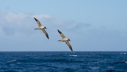 Similar image 11287612