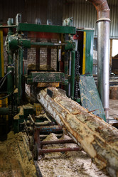 Similar image 11137432