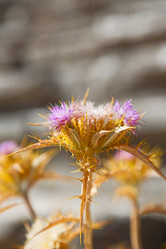 Similar image 10961196