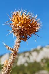 Similar image 10961197