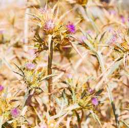 Similar image 10961198