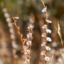 Similar image 10961199