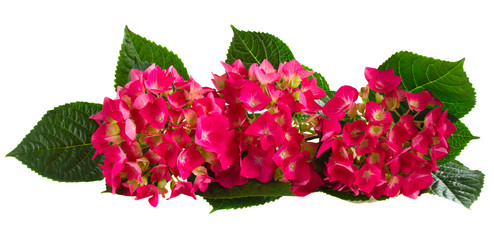 Similar image 11143614