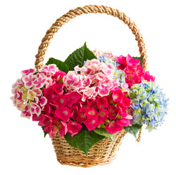 Similar image 11143638