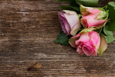 Similar image 11143752