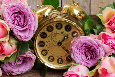 Similar image 11143754