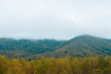 Similar image 11281156