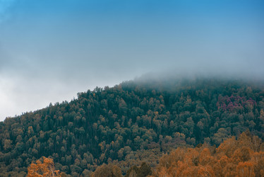 Similar image 11281176