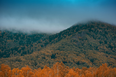 Similar image 11281194