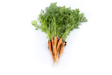 Similar image 10960932