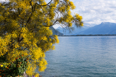 Similar image 10961001