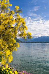 Similar image 10961002