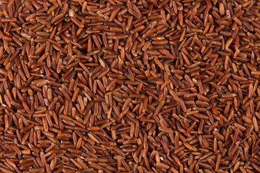 Similar image 10961006