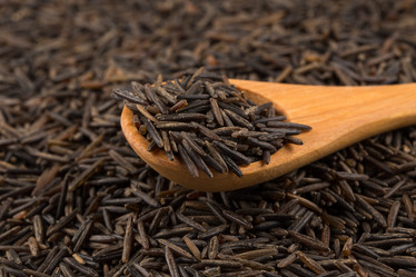 Similar image 10961016