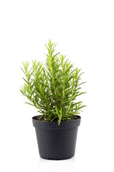 Similar image 10960802