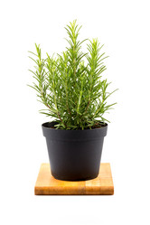 Similar image 10960806