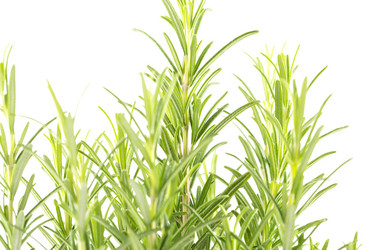 Similar image 10960810