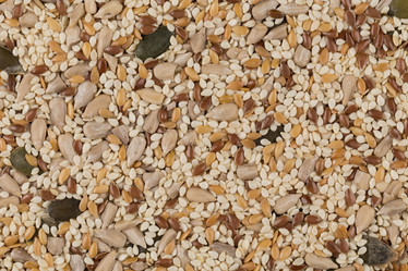 Similar image 10960887