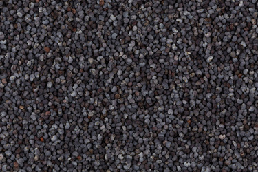 Similar image 10960857