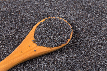 Similar image 10960861