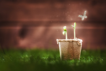 Similar image 10992500