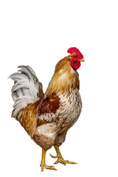 Similar image 10963346