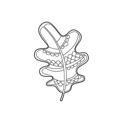 Similar image 11329842