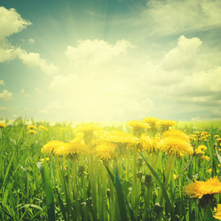 Similar image 11144434